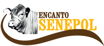 Encanto Senepol - A Evolução Genética Está no Nosso DNA